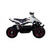 New Tao Tao E1-500 - Electric Mini Youth ATV