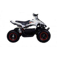 New Tao Tao E1-500 - Electric Mini Youth ATV