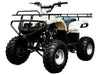 New Adult - Tao Tao ATA125F1 - Utility 125cc ATV - CA Carb Approved - Free Shipping atvs Wholesale ATV 