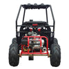 New Kandi KD125GKM - 125cc Fully Automatic youth Go Kart w/Reverse