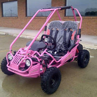 New Youth - Trailmaster Mini XRX-R - Kids Go Kart - CA Carb Approved - Free Shipping go kart Wholesale ATV 
