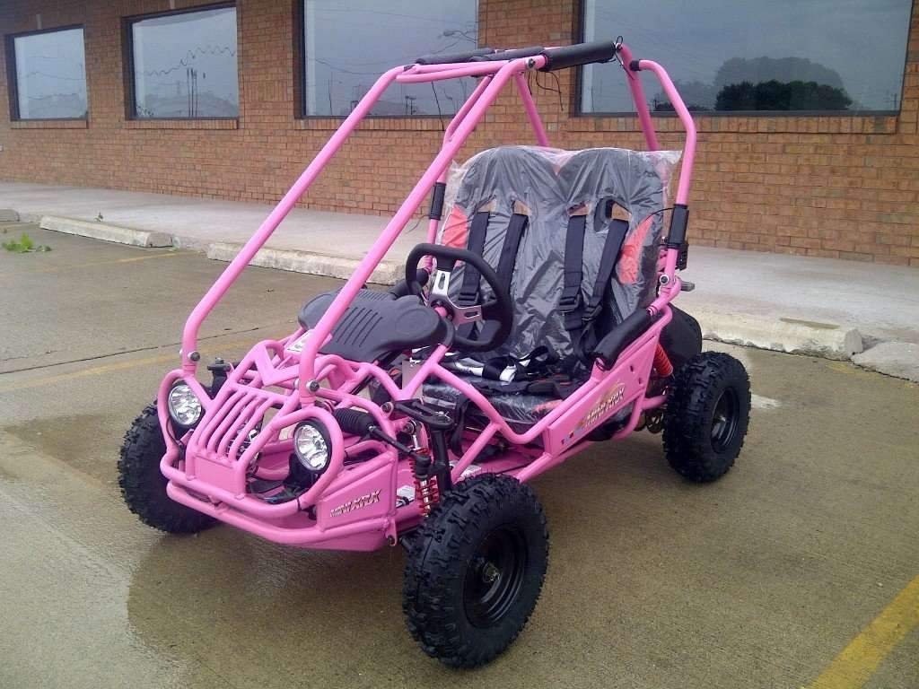 New Youth - Trailmaster Mini XRX-R - Kids Go Kart - CA Carb Approved - Free Shipping go kart Wholesale ATV 
