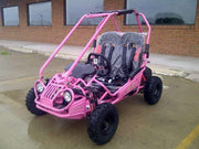 New Youth - Trailmaster Mini XRX-R - Kids Go Kart - CA Carb Approved - Free Shipping go kart Wholesale ATV 