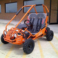 New Youth - Trailmaster Mini XRX-R - Kids Go Kart - CA Carb Approved - Free Shipping go kart Wholesale ATV 
