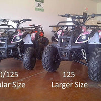 New Larger Youth - Coolster 3125XR8 - 125cc Kids ATV Utility - CA Carb Approved - Free Shipping atvs Wholesale ATV Pink Army camo 
