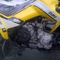 NEW 2019 KYMCO - MONGOOSE 270 EURO - TEEN/ADULT 270CC T-14 ATV atvs Wholesale ATV 