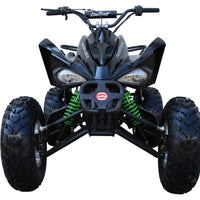 New 175CC Fully Automatic Coolster ATV-3175S Full Sized ATV