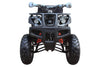 New Coolster ATV-3150DX-4  Fully Automatic Full Sized Utility ATV - CA Carb Approved