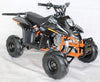 New 110cc - ACE D110 - Fully Auto Youth ATV with Headlight & Rack