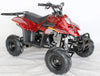 New 110cc - ACE D110 - Fully Auto Youth ATV with Headlight & Rack