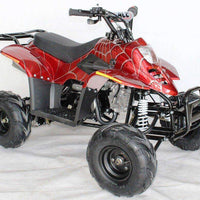 New 110cc - ACE D110 - Fully Auto Youth ATV with Headlight & Rack