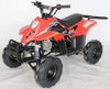 New 110cc - ACE D110 - Fully Auto Youth ATV with Headlight & Rack