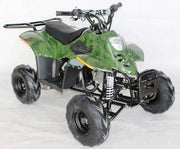 New 110cc - ACE D110 - Fully Auto Youth ATV with Headlight & Rack