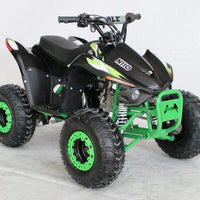 New 110cc - ACE N110 - Fully Auto w/Reverse Youth ATV