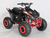New 110cc - ACE N110 - Fully Auto w/Reverse Youth ATV