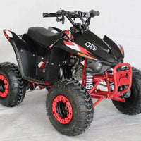 New 110cc - ACE N110 - Fully Auto w/Reverse Youth ATV
