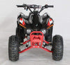 New 110cc - ACE N110 - Fully Auto w/Reverse Youth ATV