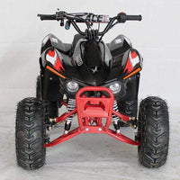 New 110cc - ACE N110 - Fully Auto w/Reverse Youth ATV