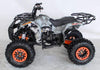 New 125cc - ACE B125 - Fully Auto Youth Utility ATV