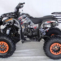 New 125cc - ACE B125 - Fully Auto Youth Utility ATV