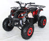 New 125cc - ACE B125 - Fully Auto Youth Utility ATV