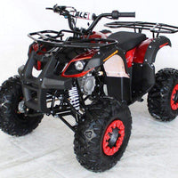 New 125cc - ACE B125 - Fully Auto Youth Utility ATV