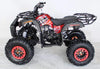 New 125cc - ACE B125 - Fully Auto Youth Utility ATV