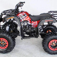 New 125cc - ACE B125 - Fully Auto Youth Utility ATV