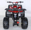 New 125cc - ACE B125 - Fully Auto Youth Utility ATV