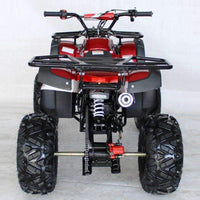 New 125cc - ACE B125 - Fully Auto Youth Utility ATV