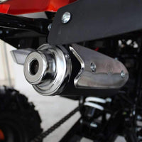 New 125cc - ACE B125 - Fully Auto Youth Utility ATV