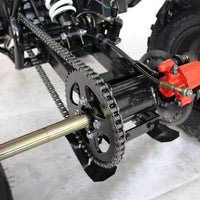 New 125cc - ACE B125 - Fully Auto Youth Utility ATV