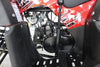 New 125cc - ACE B125 - Fully Auto Youth Utility ATV