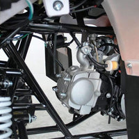 New 125cc - ACE B125 - Fully Auto Youth Utility ATV