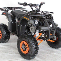 New 125cc - ACE B125 - Fully Auto Youth Utility ATV