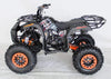 New 125cc - ACE B125 - Fully Auto Youth Utility ATV
