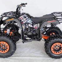 New 125cc - ACE B125 - Fully Auto Youth Utility ATV