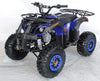 New 125cc - ACE B125 - Fully Auto Youth Utility ATV