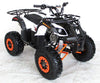 New 125cc - ACE B125 - Fully Auto Youth Utility ATV