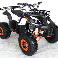 New 125cc - ACE B125 - Fully Auto Youth Utility ATV