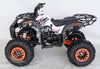 New 125cc - ACE B125 - Fully Auto Youth Utility ATV