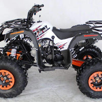 New 125cc - ACE B125 - Fully Auto Youth Utility ATV