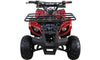 New Coolster ATV-3050D - 110CC Fully Automatic Youth Size ATV