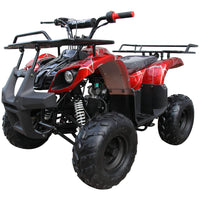 New Coolster ATV-3050D - 110CC Fully Automatic Youth Size ATV