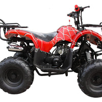 New Coolster ATV-3050D - 110CC Fully Automatic Youth Size ATV