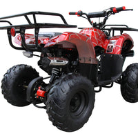 New Coolster ATV-3050D - 110CC Fully Automatic Youth Size ATV