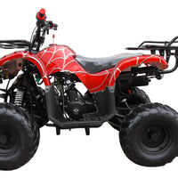 New Coolster ATV-3050D - 110CC Fully Automatic Youth Size ATV
