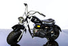 New RPS FALCON 200 - 196cc 6.5hp MINI BIKE