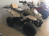 New Kids 110cc ATV - Tao Tao 110b1 - ATV with Headlight & Rack - CA Carb Approved - Free Shipping atvs Wholesale ATV 