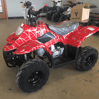 New Kids 110cc ATV - Tao Tao 110b1 - ATV with Headlight & Rack - CA Carb Approved - Free Shipping atvs Wholesale ATV 